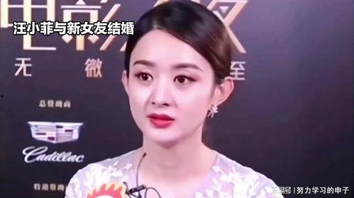 娱魅明星网红,闪耀娱乐圈的璀璨星河