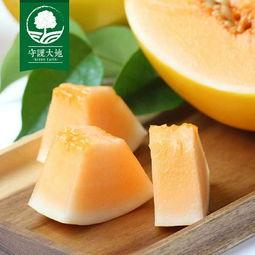 金玉蜜瓜今日价格,价格行情一览”