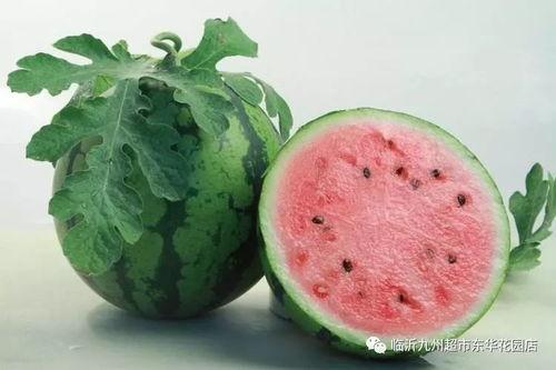 黑料吃黑瓜网不挂,揭秘不挂背后的真相与内幕