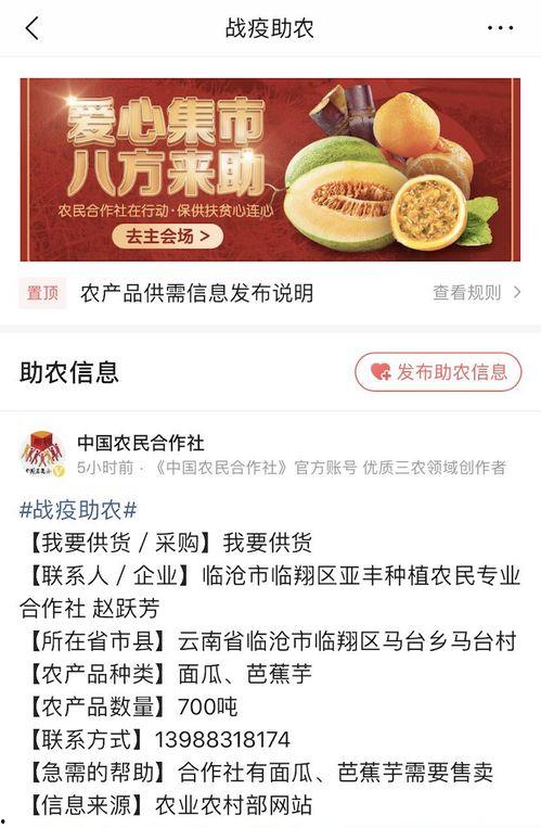 瓜总今日头条,揭秘瓜总最新动态，带你领略瓜界风云