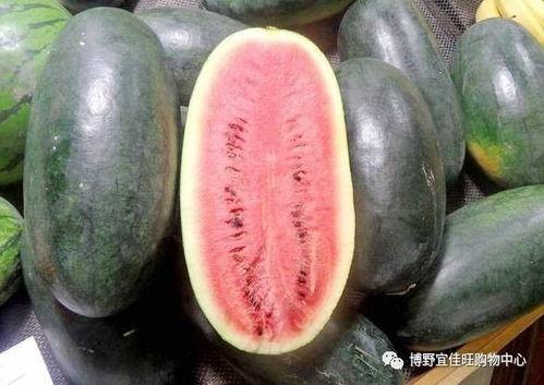 黑瓜吃料每日更新,每日精选，营养资讯一网打尽