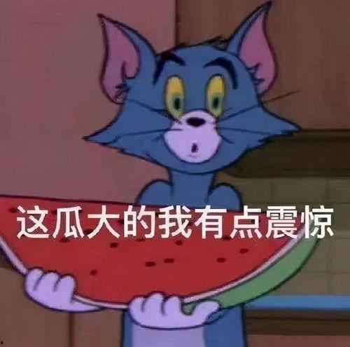 吃瓜爆料大嘴猴视频