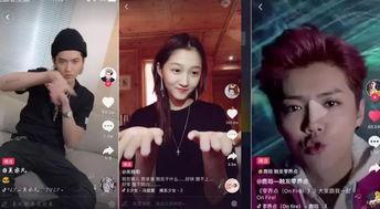 明星网红露脸视频,真实与虚拟的交织