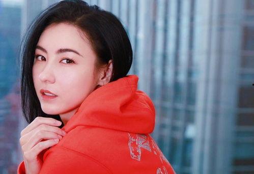 明星网红张柏芝图片,光影交织下的美丽瞬间