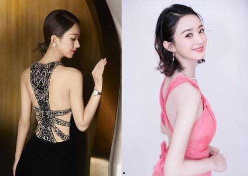 美背明星网红