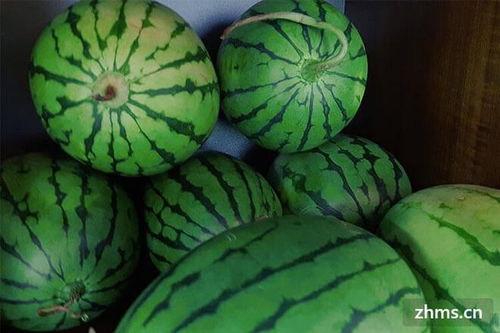 保定麒麟瓜今日价,价格行情一览”