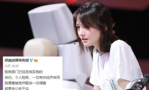 明星网红捐款对比,慈善行动背后的数字与影响力揭秘