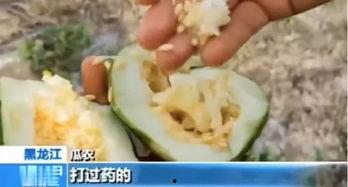 砀山最新吃瓜爆料视频曝光,视频曝光惊人内幕