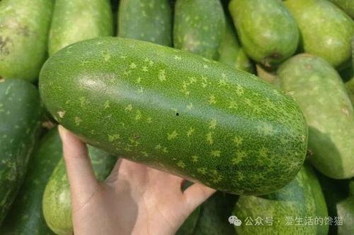 热门瓜是什么意思,网络热议背后的真相与奥秘