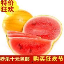 热门瓜是什么意思,网络热议背后的真相与奥秘