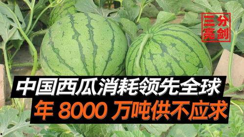 南京吃瓜爆料是真的吗,真相还是谣言？