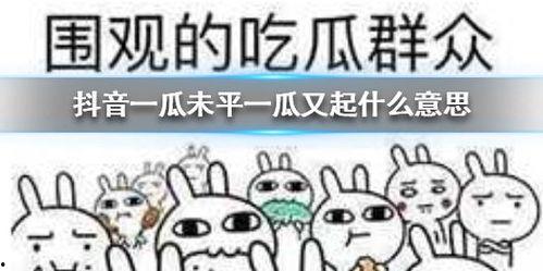 抖音吃瓜热门最新,揭秘娱乐圈最新八卦风云