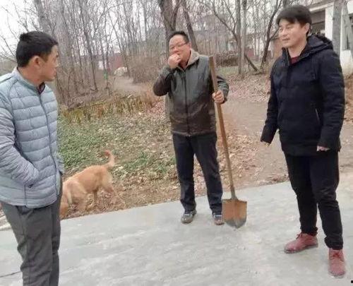 辛店镇吃瓜最新事件爆料