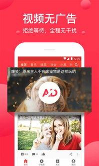 热门黑瓜爆料视频下载,独家下载与深度解析