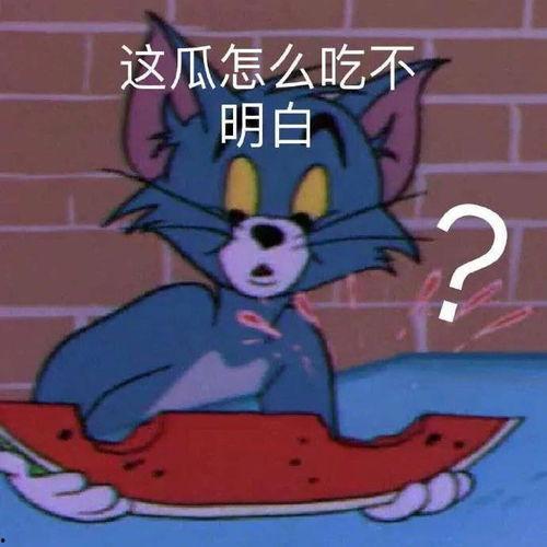 今日的瓜什么梗