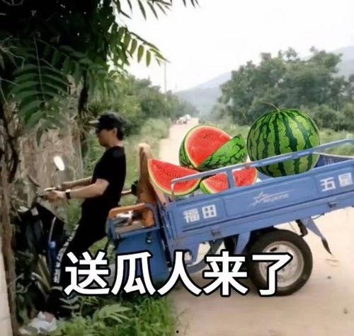 我爱吃瓜今日最新,揭秘我爱吃瓜最新热点事件