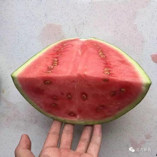 我爱吃瓜今日最新,揭秘我爱吃瓜最新热点事件