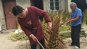 几年前安徽吃瓜爆料