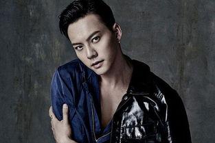 男明星网红歌手,男明星网红歌手的璀璨风采