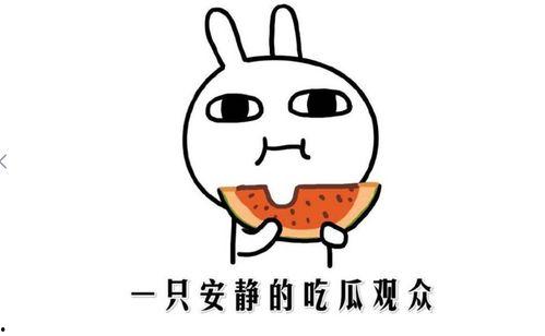 吃瓜黑料在线进入,网络舆论场中的真相与偏见