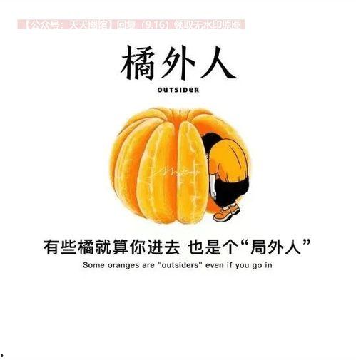 抖音热门蜜瓜来袭,抖音热门来袭，夏日甜蜜风暴席卷而来！