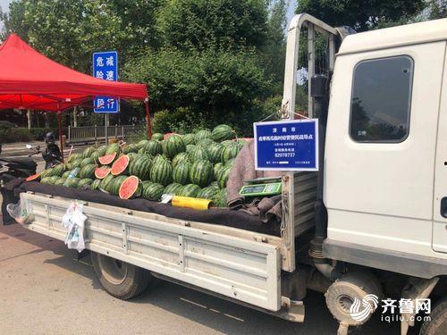 近期热门吃瓜事件济南,揭秘近期热门吃瓜事件背后的真相