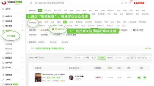 飞瓜最新热门视频下载,揭秘最新热门趋势