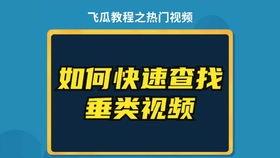 飞瓜数怎么查热门,轻松掌握热门内容生成秘诀