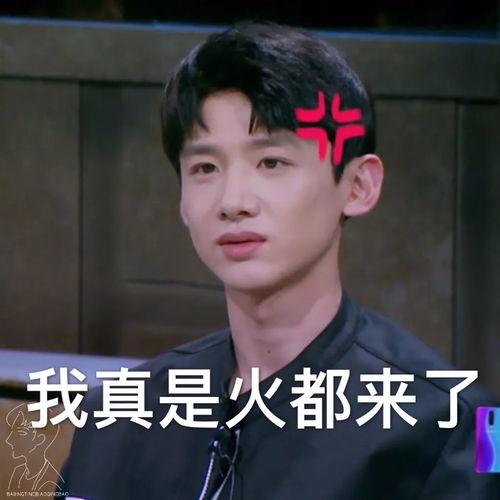 白姓明星网红,闪耀娱乐圈的璀璨新星