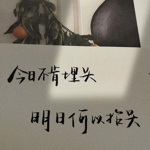 摘瓜热门文案句子简短,一语道破心扉