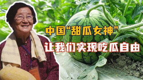 爆料中国吃瓜视频大全,热门事件背后的娱乐狂欢