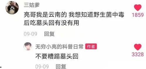 鉴定网络热门瓜博主,揭秘幕后真相与热门事件背后的故事