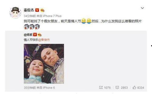 明星网红简介文案,揭秘他们的魅力与影响力