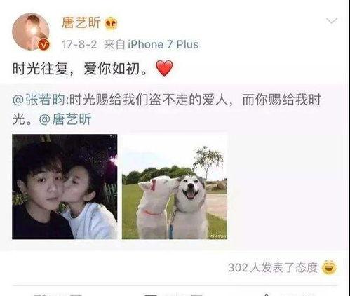明星网红简介文案,揭秘他们的魅力与影响力