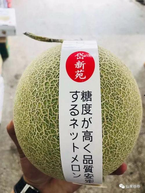 玉溪今日小瓜价格,今日行情一览