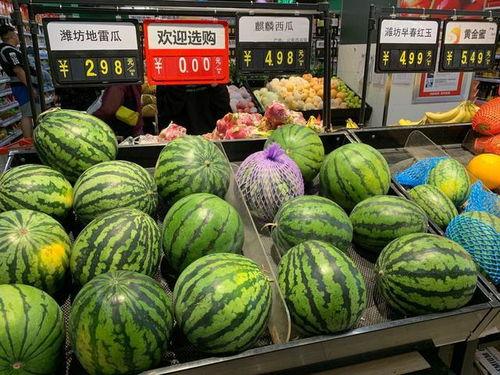 玉溪今日小瓜价格,今日行情一览