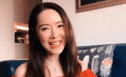 落魄的明星网红,揭秘明星网红的起伏人生
