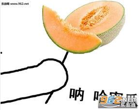 热门表情包哈密瓜,甜蜜爆笑，解锁欢乐新姿势