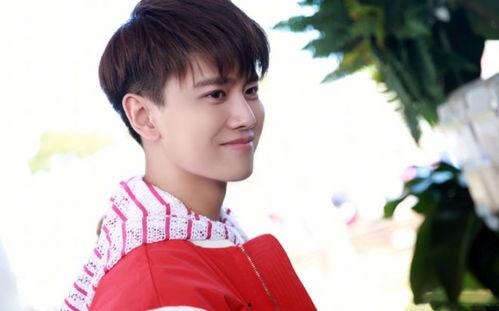 今日吃瓜任嘉伦,揭秘娱乐圈背后的故事