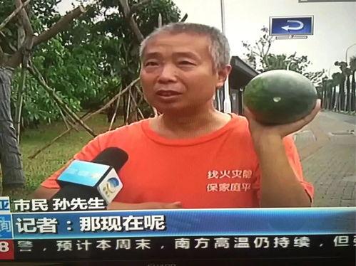 2013年吃瓜热门事件,2013年度吃瓜群众热议事件大盘点