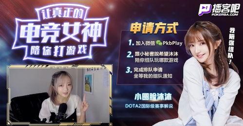 明星网红游戏项目