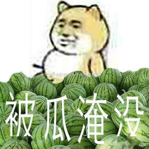 吃瓜黑料在线2023,娱乐圈风云再起