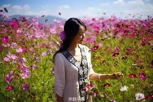 大理偶遇明星网红,网红明星的意外惊喜瞬间