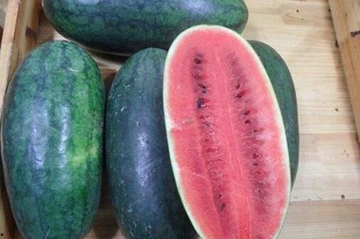 什么叫黑料吃瓜,吃瓜群众的狂欢与反思