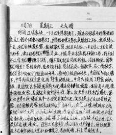 明星网红事件作文,舆论漩涡中的形象重塑与反思