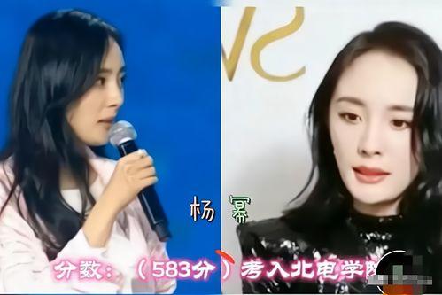 冻干粉明星网红,揭秘网红冻干粉的火爆之谜