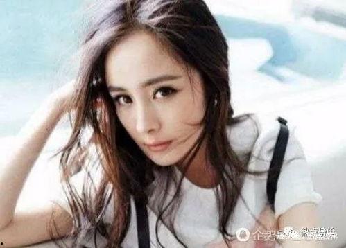明星网红地位排名,揭秘网络红人影响力排行