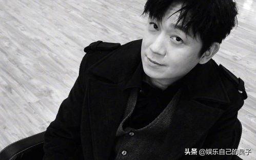 明星网红男主持,揭秘网红男主持的明星之路