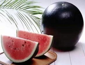 911吃瓜黑料反,真相与阴谋的交织