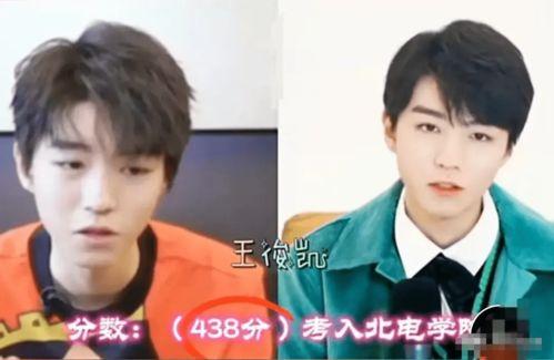 明星网红高考成绩